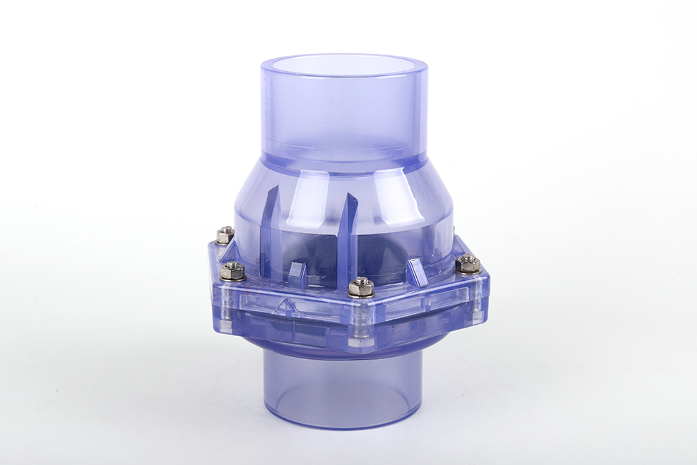 岑溪透明翻板式止回阀